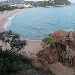 Exclusive Virginia Lloret *