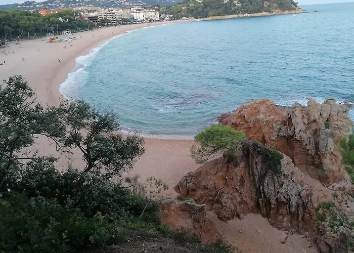 Exclusive Virginia Lloret *